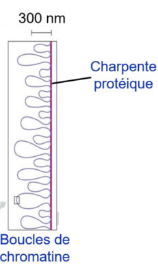 Capture d’écran 2021-10-23 à 11.10.56.png