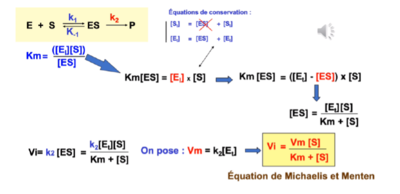 Capture d’écran 2021-10-23 191902.png