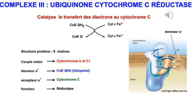 Capture d’écran 2021-10-23 192613.png