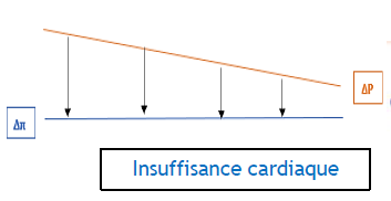 2021-10-24 16_19_45-Aspects physiologiques des échanges transmembranaires.pdf - Adobe Acrobat Reader.png