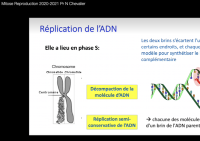 Capture d’écran 2021-10-25 à 10.39.03.png