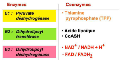 Capture d’écran 2021-10-29 173510.png