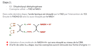 Capture d’écran 2021-10-29 173823.png