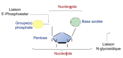 Screenshot 2021-11-01 at 11.02.28.png