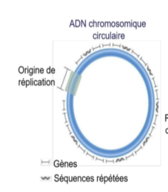 Capture d’écran 2021-11-01 à 17.58.57.png
