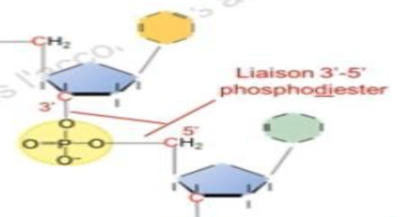 Capture d’écran 2021-11-01 à 18.55.04.png