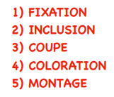 prepartion tissulaire.png