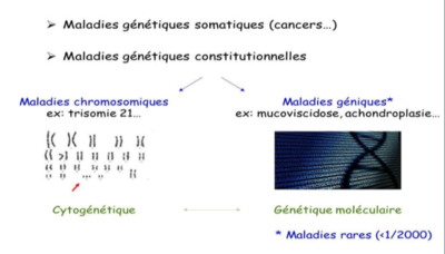 Capture d’écran 2021-11-02 à 17.40.27.png
