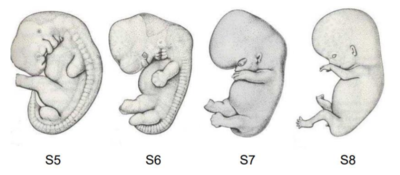 Capture d’écran 2021-11-04 112657.png