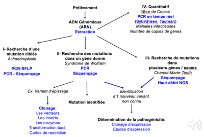 RECAP TECHNIQUES.png