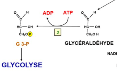 Capture d’écran 2021-11-06 à 13.33.00.png