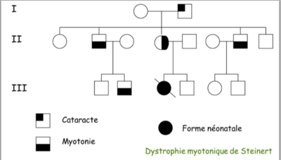 Capture d’écran 2021-11-08 à 10.57.24.png