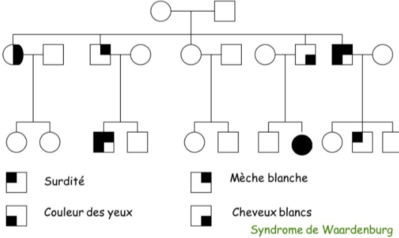 Capture d’écran 2021-11-08 à 11.03.53.png