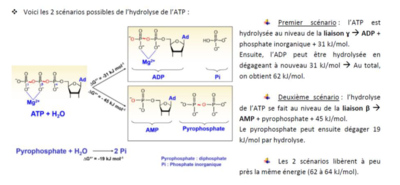 Capture d’écran 2021-11-08 095244.png