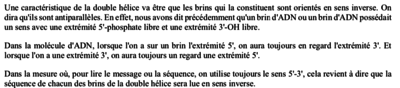 Capture d’écran 2021-11-09 à 11.36.18.png