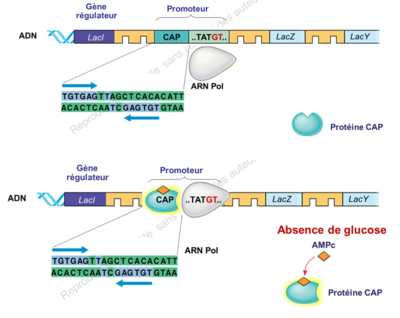 Capture d’écran 2021-11-09 à 17.10.21.png