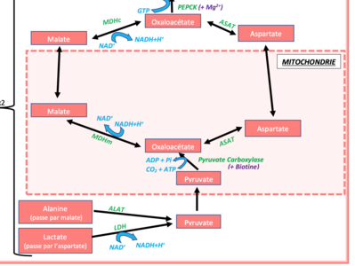 Capture d’écran 2021-11-10 à 15.00.48.png