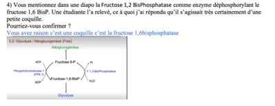 Capture d’écran 2021-11-10 à 15.57.23.png