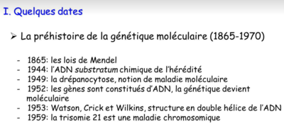 Capture d’écran 2021-11-10 à 20.15.45.png