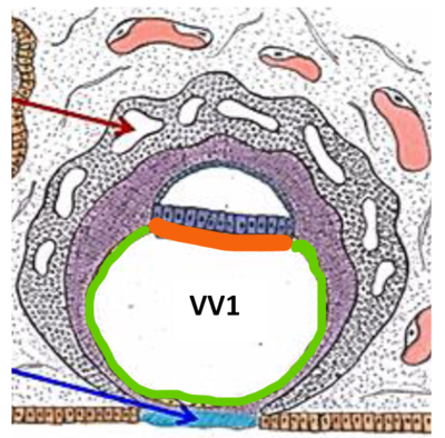 Capture d’écran 2021-11-10 202034.png