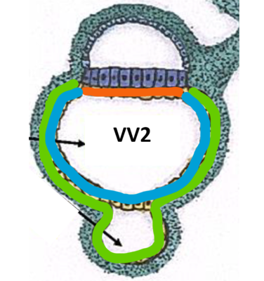 Capture d’écran 2021-11-10 202052.png