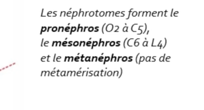 Capture d’écran 2021-11-11 à 13.42.21.png