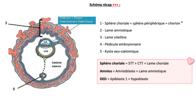 Capture d’écran 2021-11-11 à 22.19.38.png