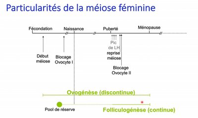 Capture web_14-11-2021_232714_univ-cotedazur.cloud.panopto.eu.jpeg