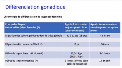 Capture web_14-11-2021_233822_univ-cotedazur.cloud.panopto.eu.jpeg