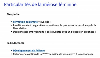 Capture web_14-11-2021_234520_univ-cotedazur.cloud.panopto.eu.jpeg