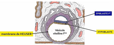 Capture d’écran 2021-08-08 154514.png