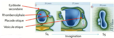 Capture d’écran 2021-11-15 120408.png