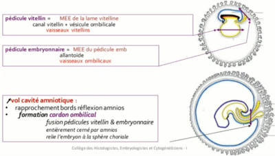 Capture d’écran 2021-11-15 132956.png
