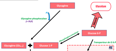Capture d’écran 2021-11-16 à 10.00.30.png