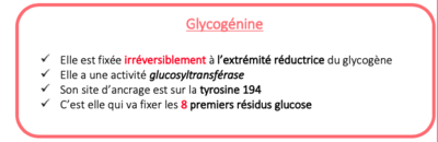 Capture d’écran 2021-11-16 à 11.00.27.png