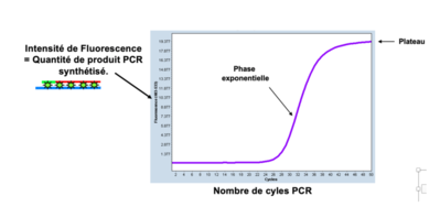 Capture d’écran 2021-11-16 à 18.58.04.png