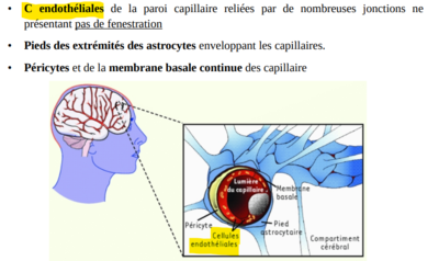 Capture d’écran 2021-11-16 205705.png