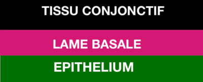 Capture d’écran 2021-11-17 165742.png