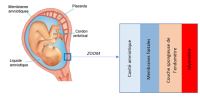Capture d’écran 2021-11-17 185401.png