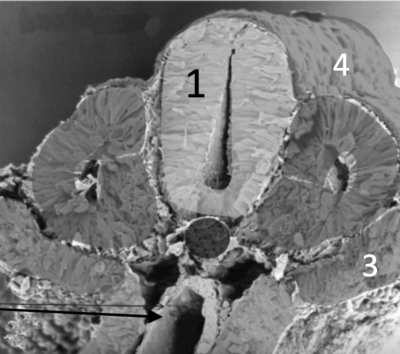 Capture d’écran 2021-11-19 à 22.25.16.png