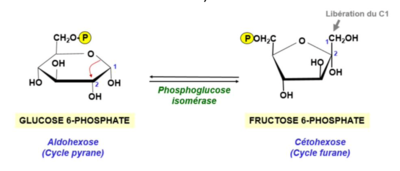 Capture d’écran 2021-11-20 à 16.35.04.png