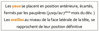 Capture d’écran 2021-11-20 193701.png