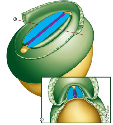 Capture d’écran 2021-11-22 192243.png