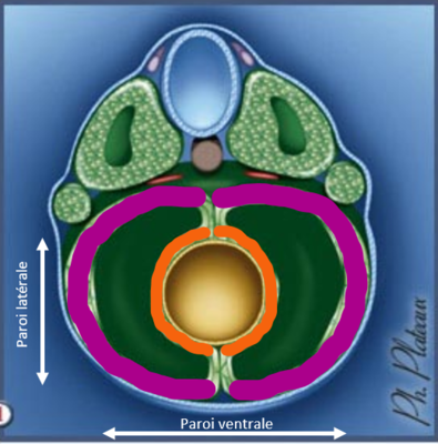 Capture d’écran 2021-11-24 010201.png