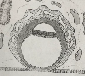Capture d’écran 2021-11-24 à 10.59.25.png