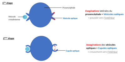 Capture d’écran 2021-11-25 140347.png