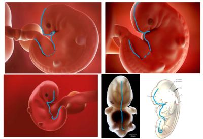 Capture d’écran 2021-11-25 150014.png