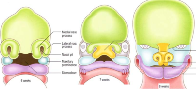 Capture d’écran 2021-11-27 230306.png