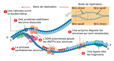 Capture d’écran 2021-11-29 à 19.36.26.png