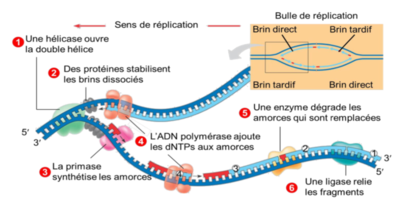 Capture d’écran 2021-11-29 à 19.40.22.png